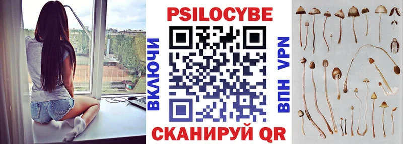 это официальный сайт  Кирсанов  Псилоцибиновые грибы Psilocybe 